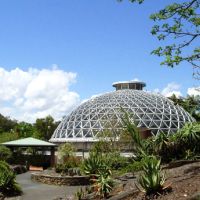 Brisbane Botanic Gardens, Queensland