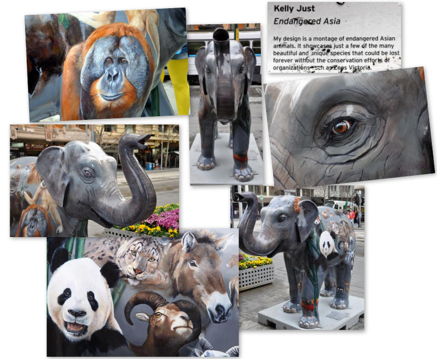 Endangered Asia - Mali by Kelly Just - Picture of the day were taken outside Melbourne Town Hall, Melbourne, Victoria, Australia.