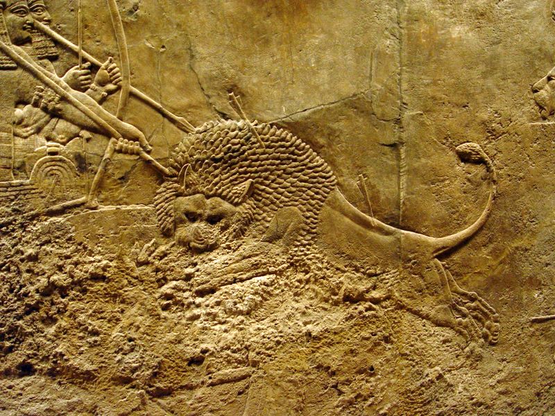 Part of the ancient Neo-Assyrian collection at the British Museum.