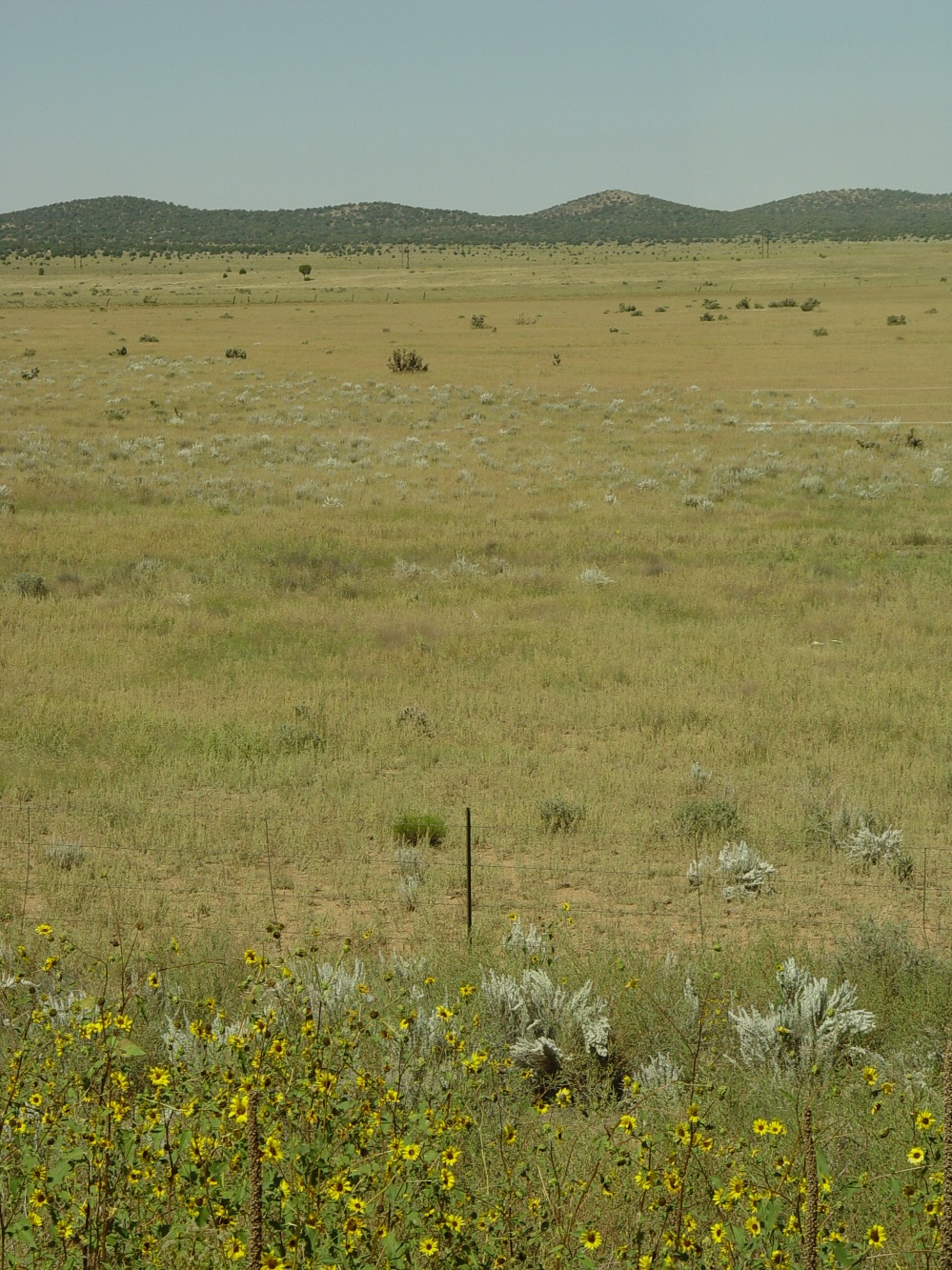 Highway 66, Seligman, Arizona, USA.