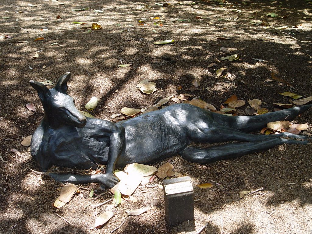 Brisbane Botanic Gardens, Queensland