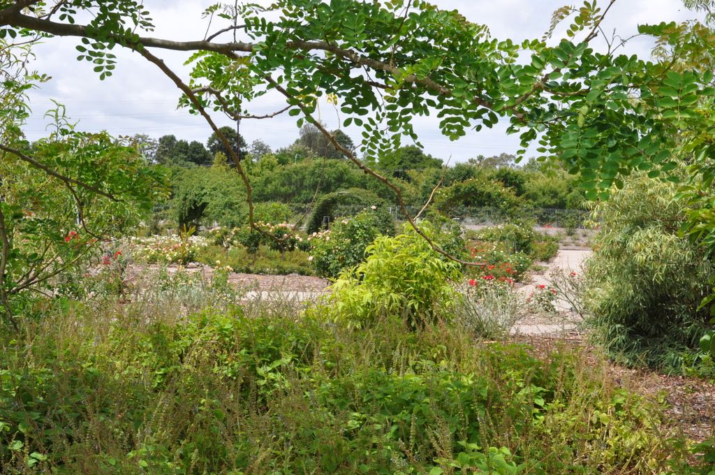Botanic Gardens, Adelaide, South Australia