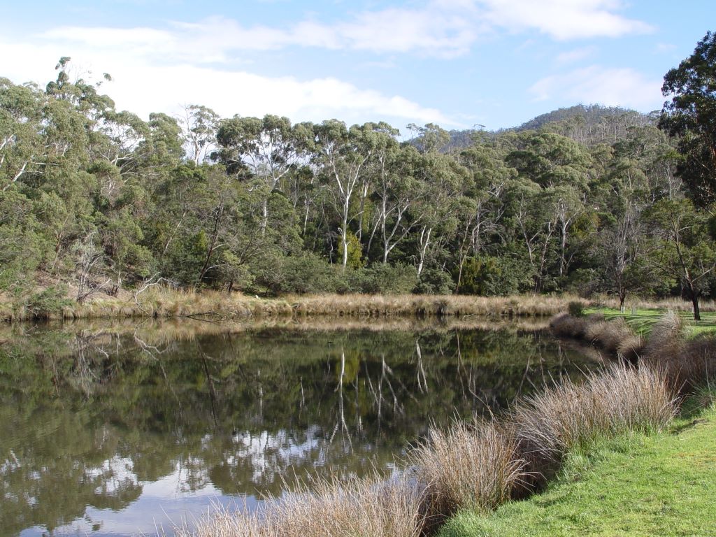 Early Settlement in Tasmania