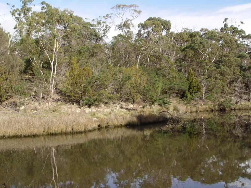 Early Settlement in Tasmania