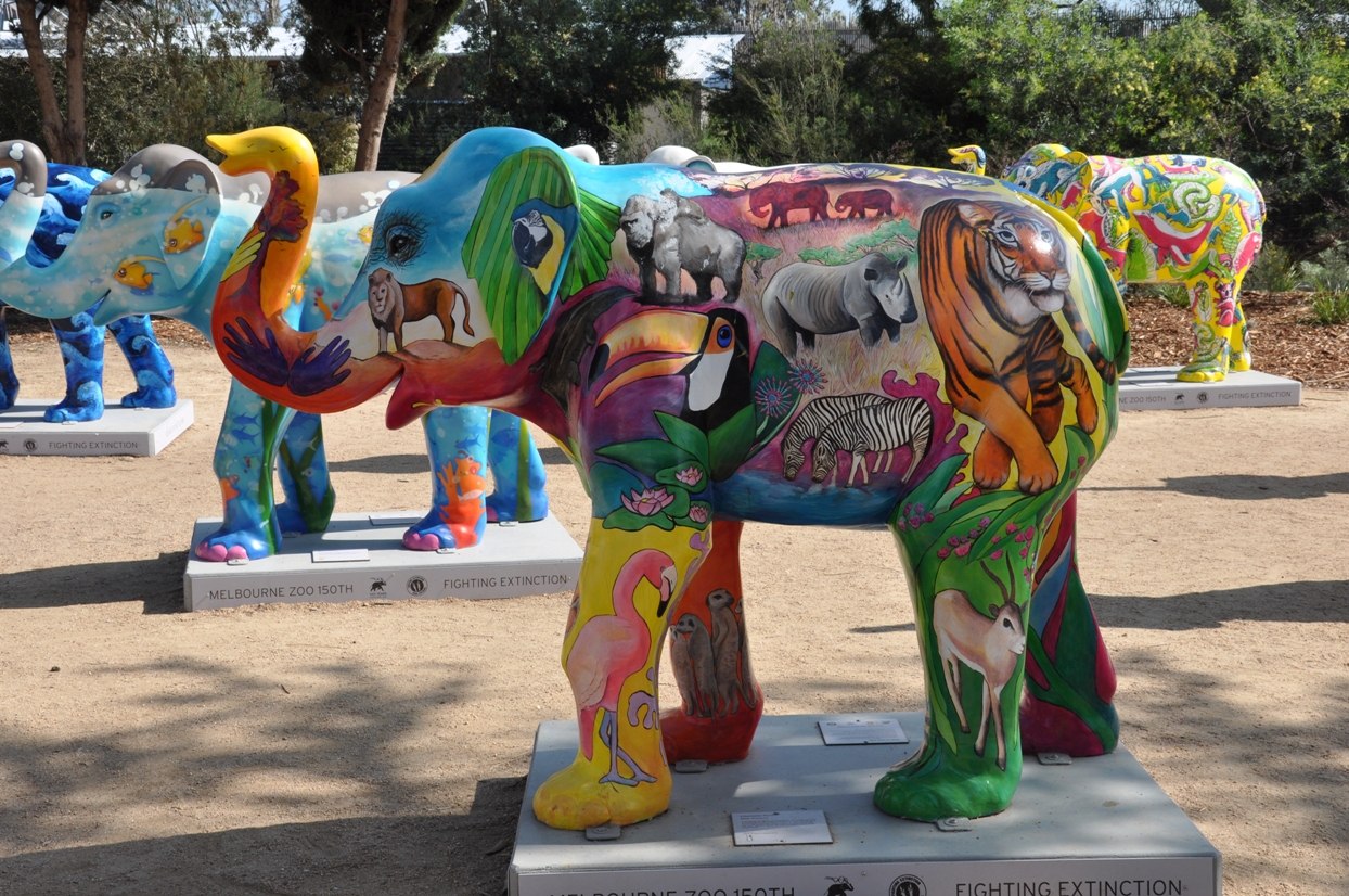 Mali Dreams - Mali by Chantelle Ferri - Picture of the day were taken at Melbourne Zoo, Melbourne, Victoria, Australia.