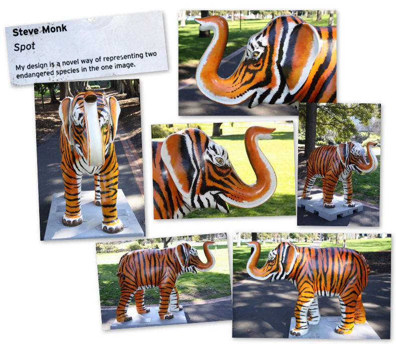 Spot - Mali by Steve Monk - Picture of the day were taken in Treasury Gardens, Melbourne, Victoria, Australia. Spot - Mali by Steve Monk - Picture of the day were taken in Treasury Gardens, Melbourne, Victoria, Australia.