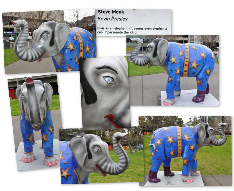 Kevin Presley - Mali by Steve Monk - Picture of the day were taken in Batman Park, Melbourne, Victoria, Australia. Kevin Presley - Mali by Steve Monk - Picture of the day were taken in Batman Park, Melbourne, Victoria, Australia.